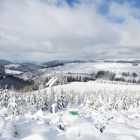 Am Finkenbusch Aan De Skipiste Appartement Willingen (Upland)