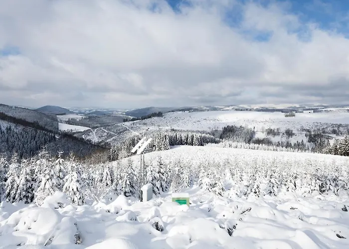 Am Finkenbusch 公寓 维林根